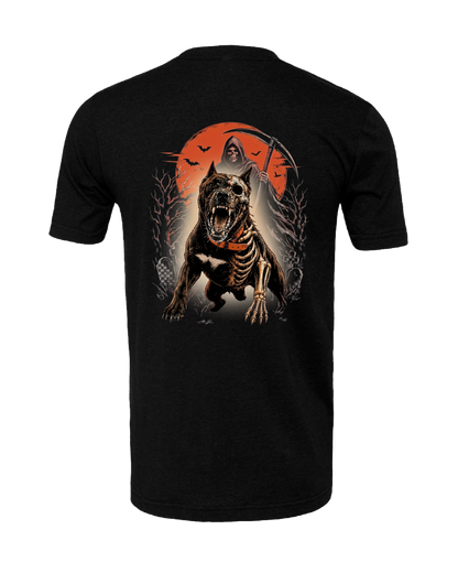 T-Shirt of the Month